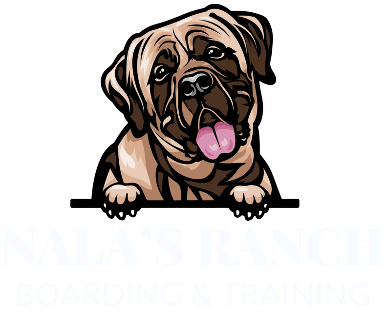 Nala's Ranch Boarding and Training in Spring Hill, FL